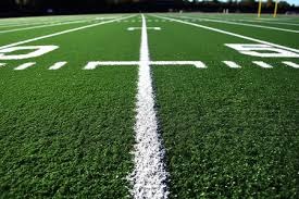 体育精神，霍伊伦祝贺麦克托米奈和苏格兰晋级世界杯